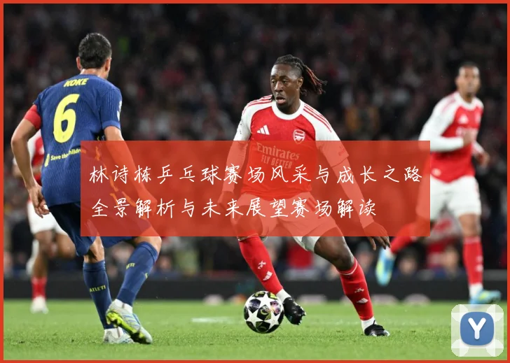 林诗栋乒乓球赛场风采与成长之路全景解析与未来展望赛场解读