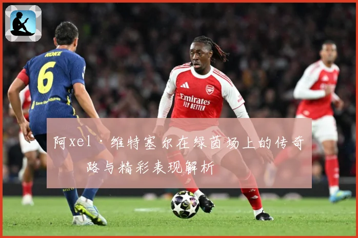 阿xel·维特塞尔在绿茵场上的传奇之路与精彩表现解析