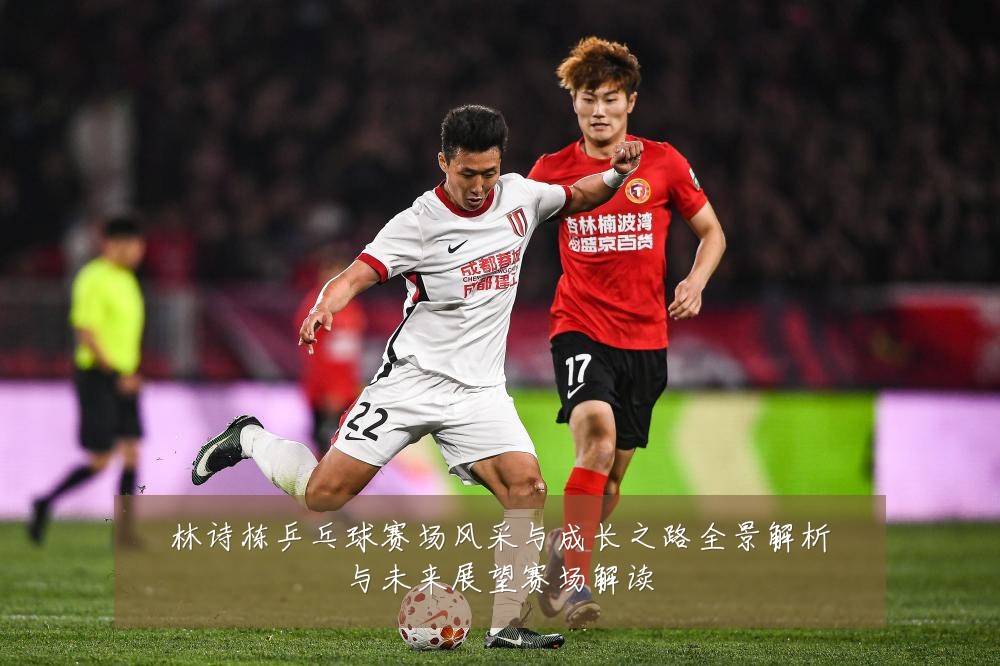 林诗栋乒乓球赛场风采与成长之路全景解析与未来展望赛场解读