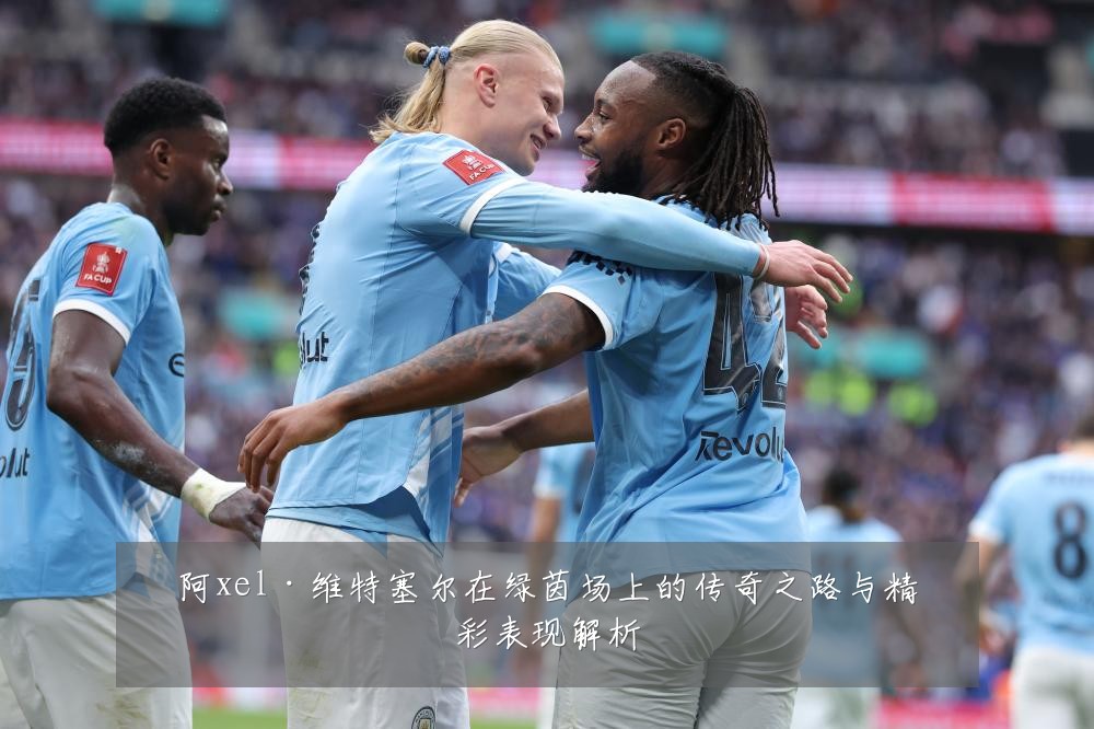 阿xel·维特塞尔在绿茵场上的传奇之路与精彩表现解析